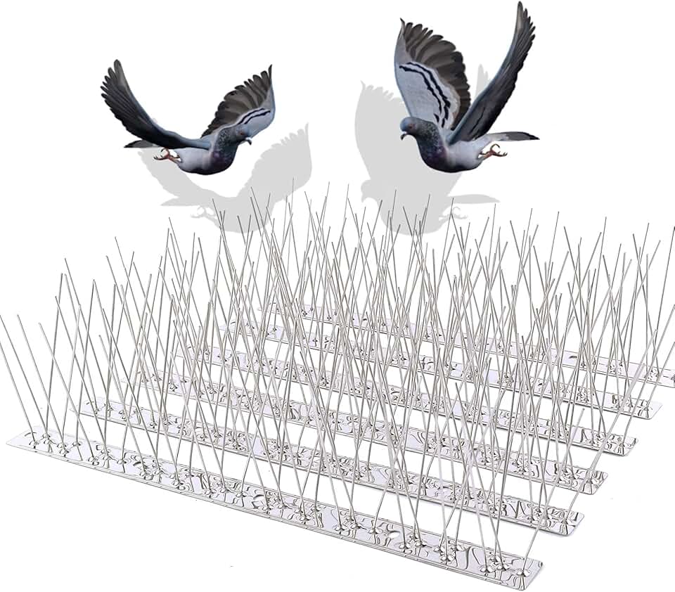Pigeon Bird Spikes: A Humane Solution for Urban Bird Control