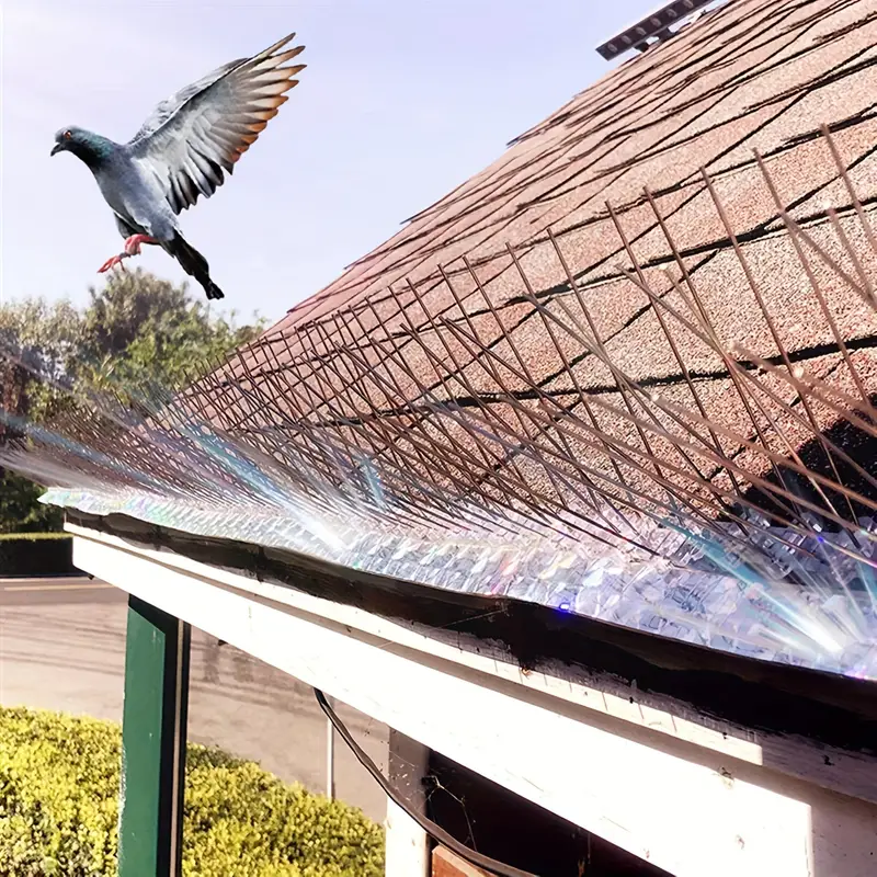 Bird Netting in Urban Spaces