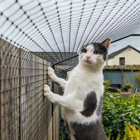 The Advantages of Cat Safety Net Installation on Dubai Balconies