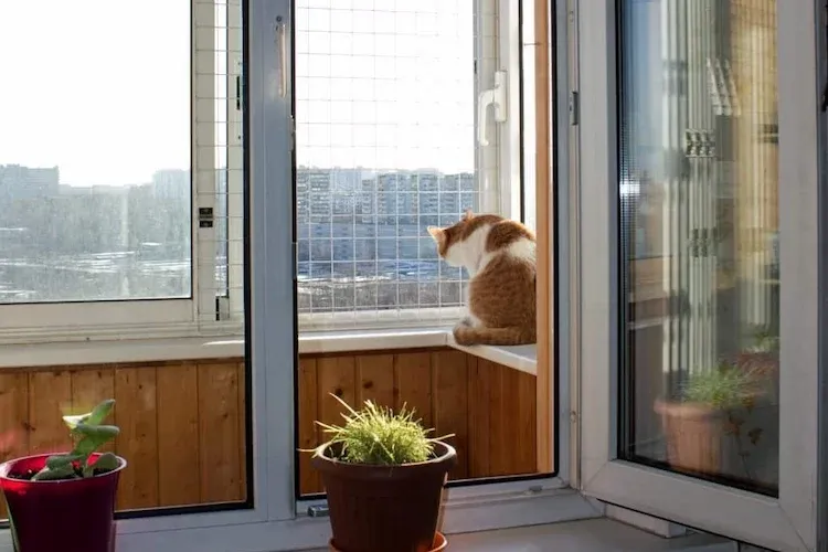 Reliable Cat Safety Netting Installation in Dubai