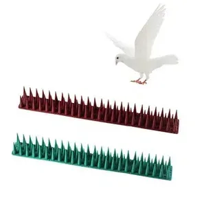 Protect Your Building with Premium Bird Spikes in Dubai