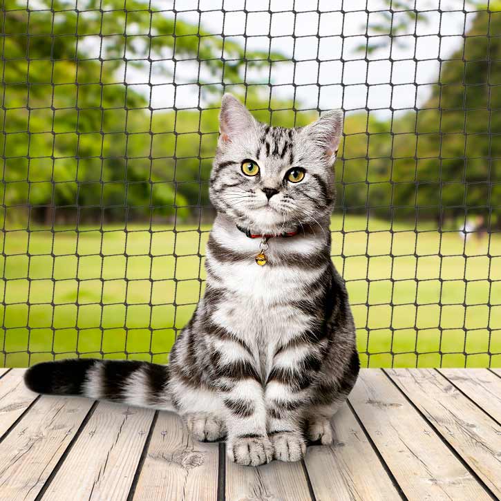 Dubai Cat Safety Nets for Pet-Friendly Apartments