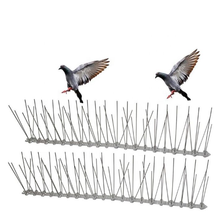 Bird Spikes for Roofs in Dubai to Prevent Damage
