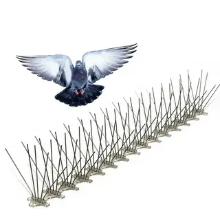 Humane Bird Control Spikes – Keep Birds Away Naturally