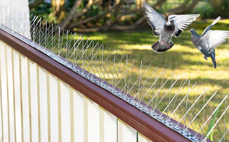 Heavy-Duty Bird Spikes in Dubai for Harsh Weather Conditions