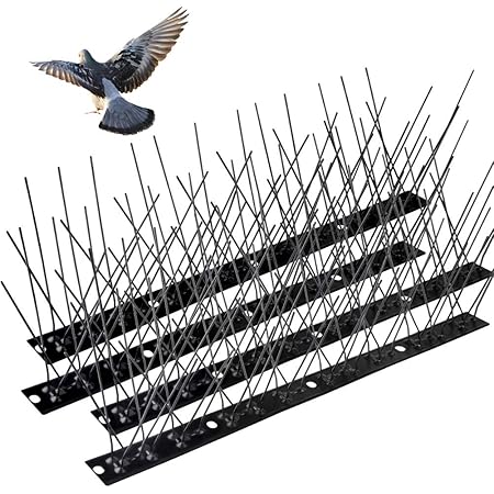 Bird Spikes That Protect Without Compromise